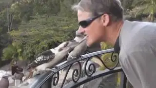 ЛУЧШИЕ ПРИКОЛЫ МЕГА ПРИКОЛЫ