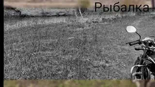 Ищем налима или сома,ночные закидушки и вечерняя ловля хищной рыбы.