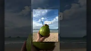 🇵🇭 Palawan = p a r a d i s e