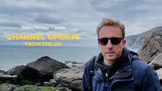 Channel Update from the UK | Your Suggestions
