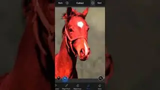 Create cutout and superimpose using LightX Photo Editor for iPhone