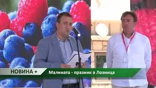 Новина плюс: Малината - празник в Лозница