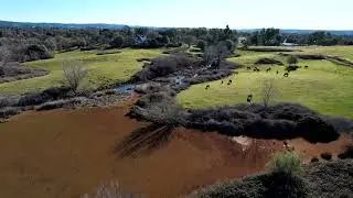 Azolla Removal Fuentes Lake & Pond Inc