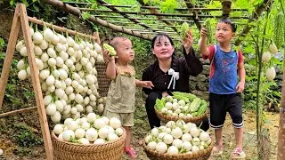 A Peaceful Day in Rural Vietnam | Mom Decorates the Kitchen Balcony with Beautiful Flowers
