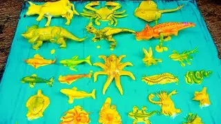 Membersihkan mainan sapi,kepiting,ikanpari,dinosaurus,buaya,gurita,paus,hiu,ular,kelabang.