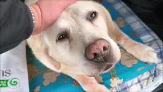 Двигаемся по минимуму