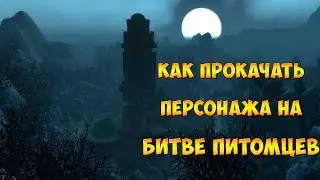 Как прокачать персонажа на битве питомцев. С 82 до 83 уровня за 9 минут!