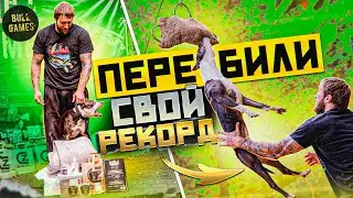 BULL GAMES 2023. ПИТУБЛЬТЕРЬЕРЫ И СПОРТ. БАРЬЕР. БЕЗОПОРНЫЙ ПРЫЖОК