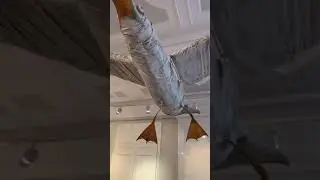 А.П. Чехов раскручивает свою пьесу "Чайка"