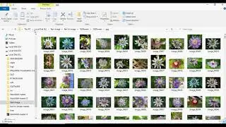 Text to Image Synthesis  in Python