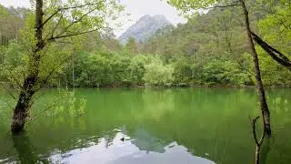 🌿 30 Segundos de Naturaleza – Pantano de La Baells 🌿