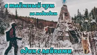 Ушел жить один в  тайгу, строю чум, ищу медведя с лайками