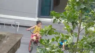 cffccc