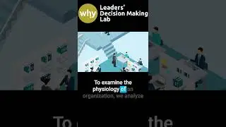 The Physiology of Decision-Making in Organizations