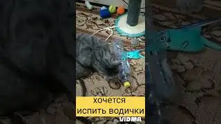 Мэри и Жара