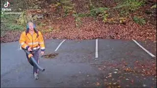 У Борка территории