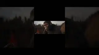 The Law #kingdomoftheplanetoftheapes  #planetoftheapes #fallingdown  #edit