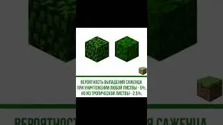 факт майнкрафт