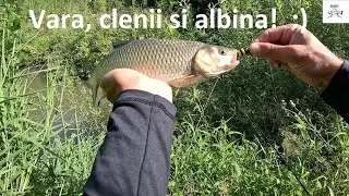 ☀️🎣 Clenii și obletele! 😅 Urzicile și fazanii 🎣☀️