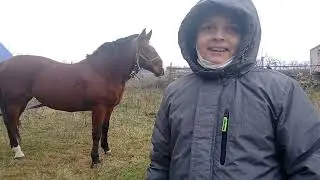 Купили парочку Наши Подпищики))