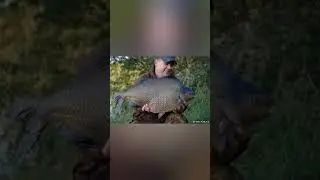 Рыбалка