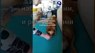Воспитание на позитиве. 