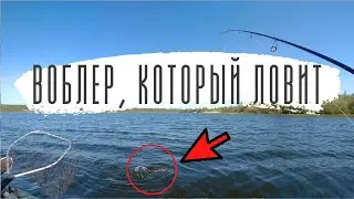 Лучший воблер в моей коробке. И почему не стоит спешить на рыбалке.