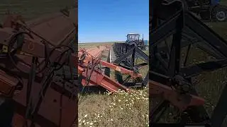 Haymaking. Polesie or Don-Mar, which mows better and leaves the cut lower.