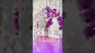 С добрым утром и чудесным хорошим днём 