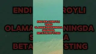 #тезкор #betayin #cola #olim