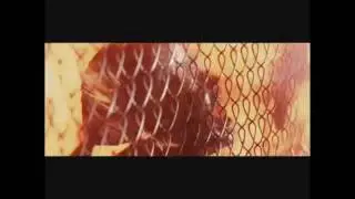 Bad Company 2 double explosive marksman glitch