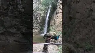 Тбилиси 2018