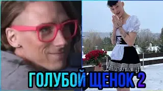 МИЛОХИН ГОЛУБОЙ ЩЕНОК 2