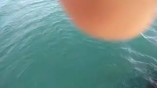 Сочи 26.05.22