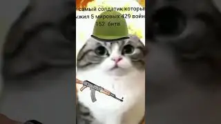 Жиза всех солдатиков #пжврек #мем