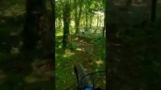 THE OLD MTB GOLD