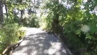 Jeneece Place Sanctuary Path