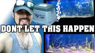 Aquarium Air Pumps : They can SAVE your tanks, I run them on all of mine