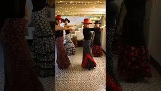 #flamenco #shorts #dance #flamengo
