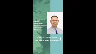 ✴️ SVF (СВФ).Что скрывается за этой аббревиатурой?