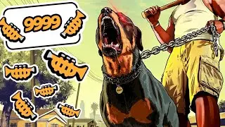 perro loco