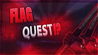 FLAG QUEST!? (Multi-Cod)