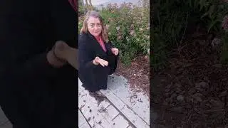 Надоело подметать мульчу с дорожек? Кора на мощении? Птички в саду переносят мульчу на дорожки?