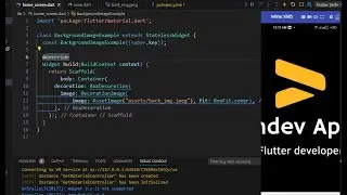How to set Background image | Flutter | Dart