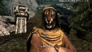 Игра в SKYRIM #9