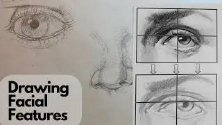 Drawing Facial Features