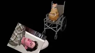 Caprisun Cat