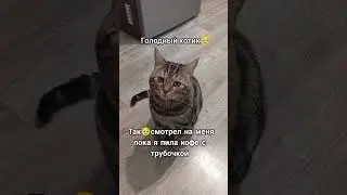 🐈Актер🐈 