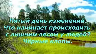 15. Лена Калашникова. 