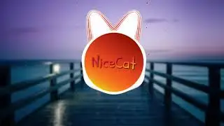 NiceCat - Feel
